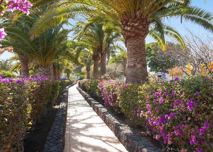 Relaxia Olivina فندق