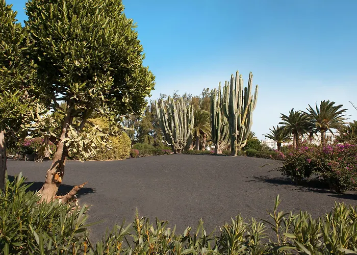 Relaxia Olivina فندق بويرتو ذيل كارمين