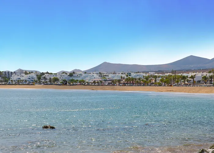 Relaxia Olivina بويرتو ذيل كارمين